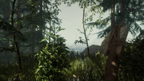 Screenshot de The Forest