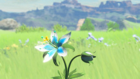 Screenshot de The Legend of Zelda: Breath of the Wild