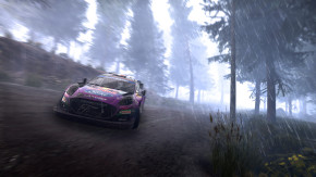 Screenshot de WRC Generations