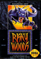 Risky Woods para Mega Drive